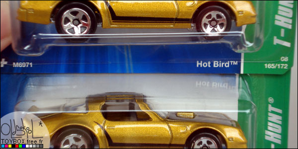 Hot Bird variation de tampo